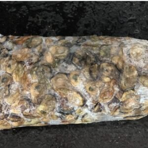 Ostra 1kg (sob encomenda)